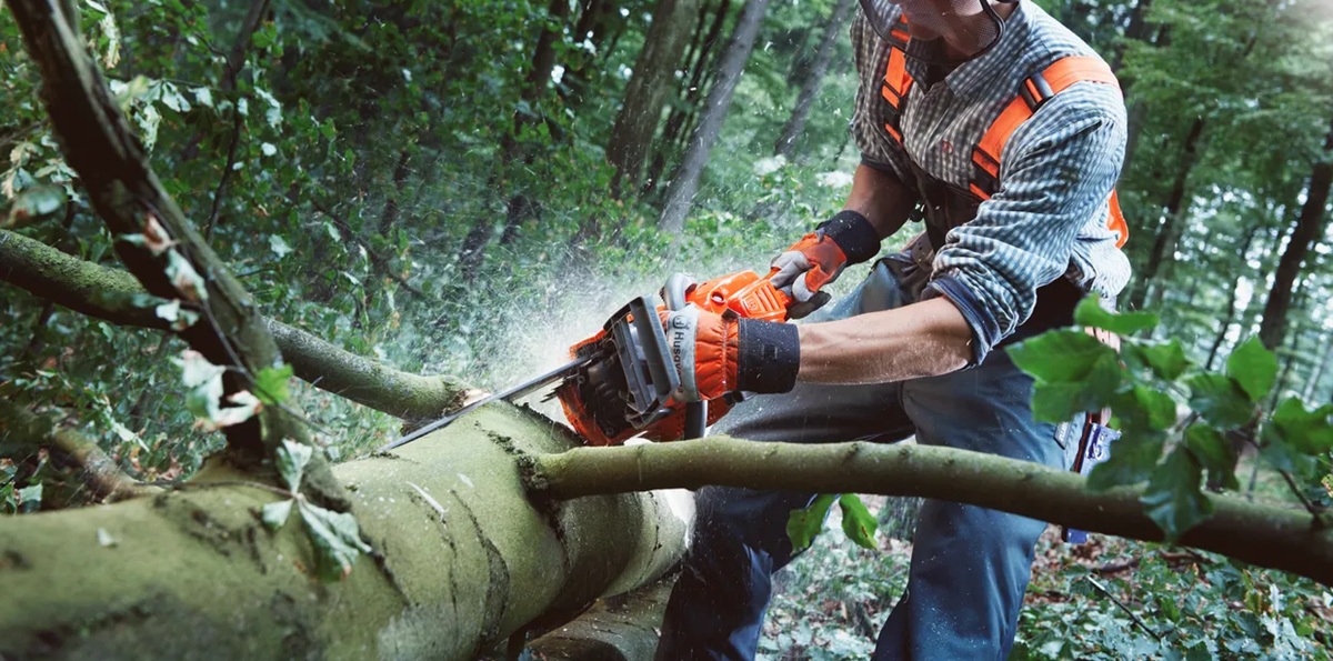 Pila Husqvarna 555 při odvětvování